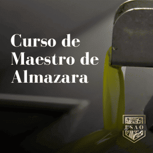 Curso Maestro de Almazara