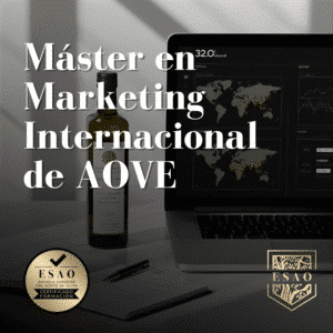 ESAO Máster en Marketing Internacional de AOVE