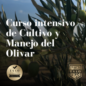 Curso intensivo de Cultivo y Manejo del Olivar